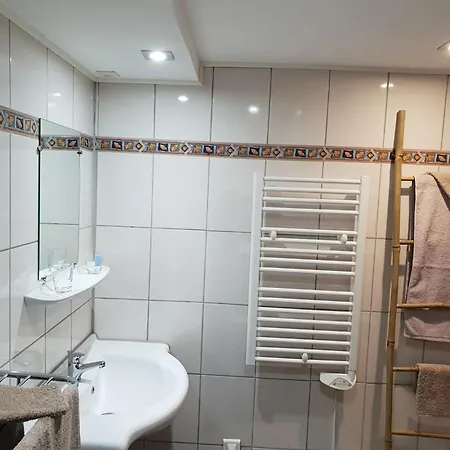 D'hotes Confortables En Montagne Avec Animaux Admis - Fr-1-589-734