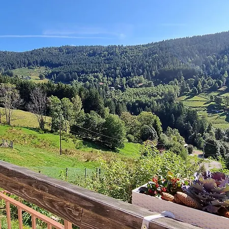 D'hotes Confortables En Montagne Avec Animaux Admis - Fr-1-589-734
