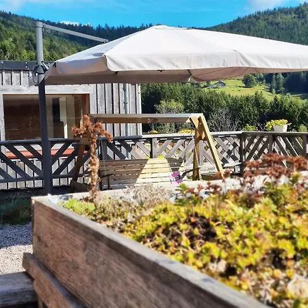 D'hotes Confortables En Montagne Avec Animaux Admis - Fr-1-589-734 Bed & Breakfast *